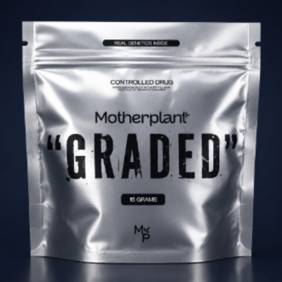 Motherplant GRADED 20%