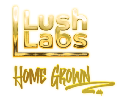 Lush Labs Lush Labs MAC Powdered Donuts