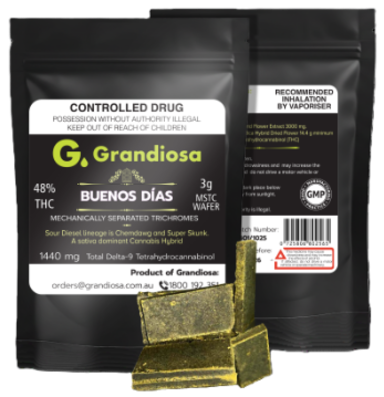 community photo of Grandiosa Grandiosa Hash • Buenos Dias • MSTC Wafer • 48% THC • 3g Hash 3g