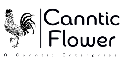 community photo of Canntic Yuzuki 18% Flower 10g