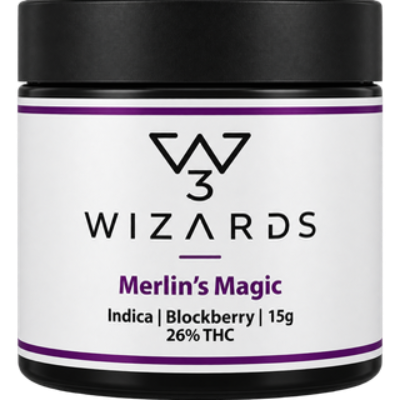 3 WIZARDS 3 WIZARDS - Merlin’s Magic