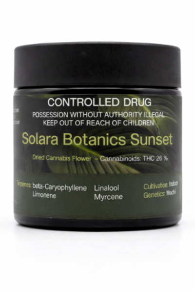 Solara Botanics Sunset Dried Flower
