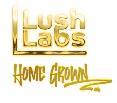 Lush Labs Lush Labs Black Biscotti