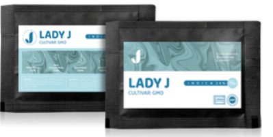 Lady J LADY J™ Dry Flower GMO 24 %
