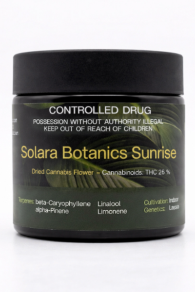 Solara Botanics Sunrise Dried Flower